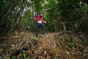 BIB: 
                            <button type="button" onclick="openModal(21735880)" class="btn btn-primary btn-sm float-right btn-popup" data-toggle="modal" data-target=".modal-high-quality">
                        <i class="fas fa-shopping-cart"></i> Add to Cart
                    </button>
                                            <button type="button" onclick="isThisMe(21735880, true)" class="btn btn-success btn-sm float-right btn-popup btn-isme hidden" data-toggle="tooltip" data-placement="bottom" title="นี่คือรูปของคุณใช่ไหม คลิกที่นี่เพื่อเอาเข้าอัลบั้ม">
                        <i class="fas fa-plus"></i> Add to album
                    </button>
                    <button type="button" onclick="isThisMe(21735880, false)" class="btn btn-warning btn-sm float-right btn-popup btn-isnotme hidden">
                        <i class="fas fa-ban"></i> Remove from album
                    </button>