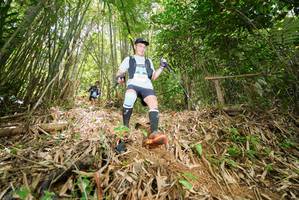 BIB: 
                            <button type="button" onclick="openModal(21787573)" class="btn btn-primary btn-sm float-right btn-popup" data-toggle="modal" data-target=".modal-high-quality">
                        <i class="fas fa-shopping-cart"></i> Add to Cart
                    </button>
                                            <button type="button" onclick="isThisMe(21787573, true)" class="btn btn-success btn-sm float-right btn-popup btn-isme hidden" data-toggle="tooltip" data-placement="bottom" title="นี่คือรูปของคุณใช่ไหม คลิกที่นี่เพื่อเอาเข้าอัลบั้ม">
                        <i class="fas fa-plus"></i> Add to album
                    </button>
                    <button type="button" onclick="isThisMe(21787573, false)" class="btn btn-warning btn-sm float-right btn-popup btn-isnotme hidden">
                        <i class="fas fa-ban"></i> Remove from album
                    </button>