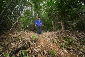 BIB: 
                            <button type="button" onclick="openModal(21751487)" class="btn btn-primary btn-sm float-right btn-popup" data-toggle="modal" data-target=".modal-high-quality">
                        <i class="fas fa-shopping-cart"></i> Add to Cart
                    </button>
                                            <button type="button" onclick="isThisMe(21751487, true)" class="btn btn-success btn-sm float-right btn-popup btn-isme hidden" data-toggle="tooltip" data-placement="bottom" title="นี่คือรูปของคุณใช่ไหม คลิกที่นี่เพื่อเอาเข้าอัลบั้ม">
                        <i class="fas fa-plus"></i> Add to album
                    </button>
                    <button type="button" onclick="isThisMe(21751487, false)" class="btn btn-warning btn-sm float-right btn-popup btn-isnotme hidden">
                        <i class="fas fa-ban"></i> Remove from album
                    </button>