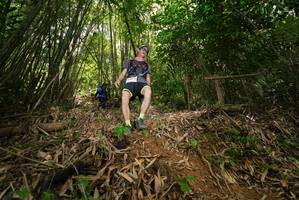 BIB: 
                            <button type="button" onclick="openModal(21777042)" class="btn btn-primary btn-sm float-right btn-popup" data-toggle="modal" data-target=".modal-high-quality">
                        <i class="fas fa-shopping-cart"></i> Add to Cart
                    </button>
                                            <button type="button" onclick="isThisMe(21777042, true)" class="btn btn-success btn-sm float-right btn-popup btn-isme hidden" data-toggle="tooltip" data-placement="bottom" title="นี่คือรูปของคุณใช่ไหม คลิกที่นี่เพื่อเอาเข้าอัลบั้ม">
                        <i class="fas fa-plus"></i> Add to album
                    </button>
                    <button type="button" onclick="isThisMe(21777042, false)" class="btn btn-warning btn-sm float-right btn-popup btn-isnotme hidden">
                        <i class="fas fa-ban"></i> Remove from album
                    </button>