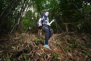 BIB: 
                            <button type="button" onclick="openModal(21762430)" class="btn btn-primary btn-sm float-right btn-popup" data-toggle="modal" data-target=".modal-high-quality">
                        <i class="fas fa-shopping-cart"></i> Add to Cart
                    </button>
                                            <button type="button" onclick="isThisMe(21762430, true)" class="btn btn-success btn-sm float-right btn-popup btn-isme hidden" data-toggle="tooltip" data-placement="bottom" title="นี่คือรูปของคุณใช่ไหม คลิกที่นี่เพื่อเอาเข้าอัลบั้ม">
                        <i class="fas fa-plus"></i> Add to album
                    </button>
                    <button type="button" onclick="isThisMe(21762430, false)" class="btn btn-warning btn-sm float-right btn-popup btn-isnotme hidden">
                        <i class="fas fa-ban"></i> Remove from album
                    </button>