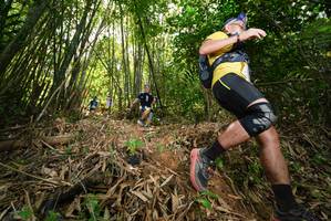 BIB: 
                            <button type="button" onclick="openModal(21784765)" class="btn btn-primary btn-sm float-right btn-popup" data-toggle="modal" data-target=".modal-high-quality">
                        <i class="fas fa-shopping-cart"></i> Add to Cart
                    </button>
                                            <button type="button" onclick="isThisMe(21784765, true)" class="btn btn-success btn-sm float-right btn-popup btn-isme hidden" data-toggle="tooltip" data-placement="bottom" title="นี่คือรูปของคุณใช่ไหม คลิกที่นี่เพื่อเอาเข้าอัลบั้ม">
                        <i class="fas fa-plus"></i> Add to album
                    </button>
                    <button type="button" onclick="isThisMe(21784765, false)" class="btn btn-warning btn-sm float-right btn-popup btn-isnotme hidden">
                        <i class="fas fa-ban"></i> Remove from album
                    </button>