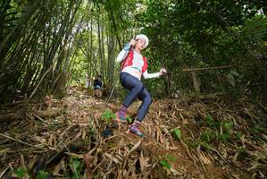 BIB: 
                            <button type="button" onclick="openModal(21786715)" class="btn btn-primary btn-sm float-right btn-popup" data-toggle="modal" data-target=".modal-high-quality">
                        <i class="fas fa-shopping-cart"></i> Add to Cart
                    </button>
                                            <button type="button" onclick="isThisMe(21786715, true)" class="btn btn-success btn-sm float-right btn-popup btn-isme hidden" data-toggle="tooltip" data-placement="bottom" title="นี่คือรูปของคุณใช่ไหม คลิกที่นี่เพื่อเอาเข้าอัลบั้ม">
                        <i class="fas fa-plus"></i> Add to album
                    </button>
                    <button type="button" onclick="isThisMe(21786715, false)" class="btn btn-warning btn-sm float-right btn-popup btn-isnotme hidden">
                        <i class="fas fa-ban"></i> Remove from album
                    </button>