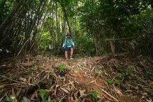 BIB: 
                            <button type="button" onclick="openModal(21752448)" class="btn btn-primary btn-sm float-right btn-popup" data-toggle="modal" data-target=".modal-high-quality">
                        <i class="fas fa-shopping-cart"></i> Add to Cart
                    </button>
                                            <button type="button" onclick="isThisMe(21752448, true)" class="btn btn-success btn-sm float-right btn-popup btn-isme hidden" data-toggle="tooltip" data-placement="bottom" title="นี่คือรูปของคุณใช่ไหม คลิกที่นี่เพื่อเอาเข้าอัลบั้ม">
                        <i class="fas fa-plus"></i> Add to album
                    </button>
                    <button type="button" onclick="isThisMe(21752448, false)" class="btn btn-warning btn-sm float-right btn-popup btn-isnotme hidden">
                        <i class="fas fa-ban"></i> Remove from album
                    </button>