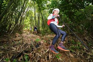 BIB: 
                            <button type="button" onclick="openModal(21786747)" class="btn btn-primary btn-sm float-right btn-popup" data-toggle="modal" data-target=".modal-high-quality">
                        <i class="fas fa-shopping-cart"></i> Add to Cart
                    </button>
                                            <button type="button" onclick="isThisMe(21786747, true)" class="btn btn-success btn-sm float-right btn-popup btn-isme hidden" data-toggle="tooltip" data-placement="bottom" title="นี่คือรูปของคุณใช่ไหม คลิกที่นี่เพื่อเอาเข้าอัลบั้ม">
                        <i class="fas fa-plus"></i> Add to album
                    </button>
                    <button type="button" onclick="isThisMe(21786747, false)" class="btn btn-warning btn-sm float-right btn-popup btn-isnotme hidden">
                        <i class="fas fa-ban"></i> Remove from album
                    </button>