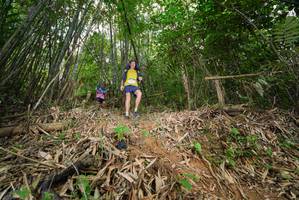 BIB: 
                            <button type="button" onclick="openModal(21782316)" class="btn btn-primary btn-sm float-right btn-popup" data-toggle="modal" data-target=".modal-high-quality">
                        <i class="fas fa-shopping-cart"></i> Add to Cart
                    </button>
                                            <button type="button" onclick="isThisMe(21782316, true)" class="btn btn-success btn-sm float-right btn-popup btn-isme hidden" data-toggle="tooltip" data-placement="bottom" title="นี่คือรูปของคุณใช่ไหม คลิกที่นี่เพื่อเอาเข้าอัลบั้ม">
                        <i class="fas fa-plus"></i> Add to album
                    </button>
                    <button type="button" onclick="isThisMe(21782316, false)" class="btn btn-warning btn-sm float-right btn-popup btn-isnotme hidden">
                        <i class="fas fa-ban"></i> Remove from album
                    </button>