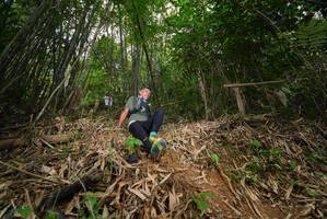 BIB: 
                            <button type="button" onclick="openModal(21778398)" class="btn btn-primary btn-sm float-right btn-popup" data-toggle="modal" data-target=".modal-high-quality">
                        <i class="fas fa-shopping-cart"></i> Add to Cart
                    </button>
                                            <button type="button" onclick="isThisMe(21778398, true)" class="btn btn-success btn-sm float-right btn-popup btn-isme hidden" data-toggle="tooltip" data-placement="bottom" title="นี่คือรูปของคุณใช่ไหม คลิกที่นี่เพื่อเอาเข้าอัลบั้ม">
                        <i class="fas fa-plus"></i> Add to album
                    </button>
                    <button type="button" onclick="isThisMe(21778398, false)" class="btn btn-warning btn-sm float-right btn-popup btn-isnotme hidden">
                        <i class="fas fa-ban"></i> Remove from album
                    </button>