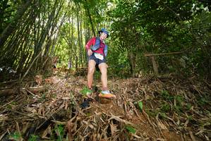 BIB: 
                            <button type="button" onclick="openModal(21788176)" class="btn btn-primary btn-sm float-right btn-popup" data-toggle="modal" data-target=".modal-high-quality">
                        <i class="fas fa-shopping-cart"></i> Add to Cart
                    </button>
                                            <button type="button" onclick="isThisMe(21788176, true)" class="btn btn-success btn-sm float-right btn-popup btn-isme hidden" data-toggle="tooltip" data-placement="bottom" title="นี่คือรูปของคุณใช่ไหม คลิกที่นี่เพื่อเอาเข้าอัลบั้ม">
                        <i class="fas fa-plus"></i> Add to album
                    </button>
                    <button type="button" onclick="isThisMe(21788176, false)" class="btn btn-warning btn-sm float-right btn-popup btn-isnotme hidden">
                        <i class="fas fa-ban"></i> Remove from album
                    </button>