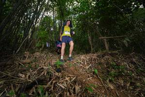 BIB: 
                            <button type="button" onclick="openModal(21782487)" class="btn btn-primary btn-sm float-right btn-popup" data-toggle="modal" data-target=".modal-high-quality">
                        <i class="fas fa-shopping-cart"></i> Add to Cart
                    </button>
                                            <button type="button" onclick="isThisMe(21782487, true)" class="btn btn-success btn-sm float-right btn-popup btn-isme hidden" data-toggle="tooltip" data-placement="bottom" title="นี่คือรูปของคุณใช่ไหม คลิกที่นี่เพื่อเอาเข้าอัลบั้ม">
                        <i class="fas fa-plus"></i> Add to album
                    </button>
                    <button type="button" onclick="isThisMe(21782487, false)" class="btn btn-warning btn-sm float-right btn-popup btn-isnotme hidden">
                        <i class="fas fa-ban"></i> Remove from album
                    </button>