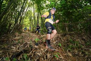 BIB: 
                            <button type="button" onclick="openModal(21784766)" class="btn btn-primary btn-sm float-right btn-popup" data-toggle="modal" data-target=".modal-high-quality">
                        <i class="fas fa-shopping-cart"></i> Add to Cart
                    </button>
                                            <button type="button" onclick="isThisMe(21784766, true)" class="btn btn-success btn-sm float-right btn-popup btn-isme hidden" data-toggle="tooltip" data-placement="bottom" title="นี่คือรูปของคุณใช่ไหม คลิกที่นี่เพื่อเอาเข้าอัลบั้ม">
                        <i class="fas fa-plus"></i> Add to album
                    </button>
                    <button type="button" onclick="isThisMe(21784766, false)" class="btn btn-warning btn-sm float-right btn-popup btn-isnotme hidden">
                        <i class="fas fa-ban"></i> Remove from album
                    </button>