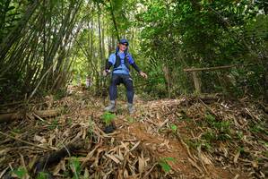 BIB: 
                            <button type="button" onclick="openModal(21777122)" class="btn btn-primary btn-sm float-right btn-popup" data-toggle="modal" data-target=".modal-high-quality">
                        <i class="fas fa-shopping-cart"></i> Add to Cart
                    </button>
                                            <button type="button" onclick="isThisMe(21777122, true)" class="btn btn-success btn-sm float-right btn-popup btn-isme hidden" data-toggle="tooltip" data-placement="bottom" title="นี่คือรูปของคุณใช่ไหม คลิกที่นี่เพื่อเอาเข้าอัลบั้ม">
                        <i class="fas fa-plus"></i> Add to album
                    </button>
                    <button type="button" onclick="isThisMe(21777122, false)" class="btn btn-warning btn-sm float-right btn-popup btn-isnotme hidden">
                        <i class="fas fa-ban"></i> Remove from album
                    </button>