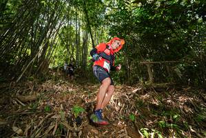 BIB: 
                            <button type="button" onclick="openModal(21749561)" class="btn btn-primary btn-sm float-right btn-popup" data-toggle="modal" data-target=".modal-high-quality">
                        <i class="fas fa-shopping-cart"></i> Add to Cart
                    </button>
                                            <button type="button" onclick="isThisMe(21749561, true)" class="btn btn-success btn-sm float-right btn-popup btn-isme hidden" data-toggle="tooltip" data-placement="bottom" title="นี่คือรูปของคุณใช่ไหม คลิกที่นี่เพื่อเอาเข้าอัลบั้ม">
                        <i class="fas fa-plus"></i> Add to album
                    </button>
                    <button type="button" onclick="isThisMe(21749561, false)" class="btn btn-warning btn-sm float-right btn-popup btn-isnotme hidden">
                        <i class="fas fa-ban"></i> Remove from album
                    </button>