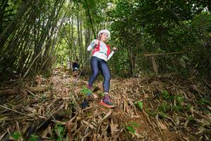 BIB: 
                            <button type="button" onclick="openModal(21786705)" class="btn btn-primary btn-sm float-right btn-popup" data-toggle="modal" data-target=".modal-high-quality">
                        <i class="fas fa-shopping-cart"></i> Add to Cart
                    </button>
                                            <button type="button" onclick="isThisMe(21786705, true)" class="btn btn-success btn-sm float-right btn-popup btn-isme hidden" data-toggle="tooltip" data-placement="bottom" title="นี่คือรูปของคุณใช่ไหม คลิกที่นี่เพื่อเอาเข้าอัลบั้ม">
                        <i class="fas fa-plus"></i> Add to album
                    </button>
                    <button type="button" onclick="isThisMe(21786705, false)" class="btn btn-warning btn-sm float-right btn-popup btn-isnotme hidden">
                        <i class="fas fa-ban"></i> Remove from album
                    </button>