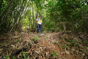 BIB: 
                            <button type="button" onclick="openModal(21771200)" class="btn btn-primary btn-sm float-right btn-popup" data-toggle="modal" data-target=".modal-high-quality">
                        <i class="fas fa-shopping-cart"></i> Add to Cart
                    </button>
                                            <button type="button" onclick="isThisMe(21771200, true)" class="btn btn-success btn-sm float-right btn-popup btn-isme hidden" data-toggle="tooltip" data-placement="bottom" title="นี่คือรูปของคุณใช่ไหม คลิกที่นี่เพื่อเอาเข้าอัลบั้ม">
                        <i class="fas fa-plus"></i> Add to album
                    </button>
                    <button type="button" onclick="isThisMe(21771200, false)" class="btn btn-warning btn-sm float-right btn-popup btn-isnotme hidden">
                        <i class="fas fa-ban"></i> Remove from album
                    </button>