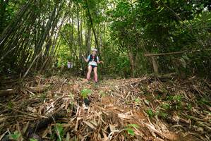 BIB: 
                            <button type="button" onclick="openModal(21751327)" class="btn btn-primary btn-sm float-right btn-popup" data-toggle="modal" data-target=".modal-high-quality">
                        <i class="fas fa-shopping-cart"></i> Add to Cart
                    </button>
                                            <button type="button" onclick="isThisMe(21751327, true)" class="btn btn-success btn-sm float-right btn-popup btn-isme hidden" data-toggle="tooltip" data-placement="bottom" title="นี่คือรูปของคุณใช่ไหม คลิกที่นี่เพื่อเอาเข้าอัลบั้ม">
                        <i class="fas fa-plus"></i> Add to album
                    </button>
                    <button type="button" onclick="isThisMe(21751327, false)" class="btn btn-warning btn-sm float-right btn-popup btn-isnotme hidden">
                        <i class="fas fa-ban"></i> Remove from album
                    </button>