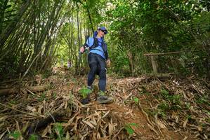 BIB: 
                            <button type="button" onclick="openModal(21777138)" class="btn btn-primary btn-sm float-right btn-popup" data-toggle="modal" data-target=".modal-high-quality">
                        <i class="fas fa-shopping-cart"></i> Add to Cart
                    </button>
                                            <button type="button" onclick="isThisMe(21777138, true)" class="btn btn-success btn-sm float-right btn-popup btn-isme hidden" data-toggle="tooltip" data-placement="bottom" title="นี่คือรูปของคุณใช่ไหม คลิกที่นี่เพื่อเอาเข้าอัลบั้ม">
                        <i class="fas fa-plus"></i> Add to album
                    </button>
                    <button type="button" onclick="isThisMe(21777138, false)" class="btn btn-warning btn-sm float-right btn-popup btn-isnotme hidden">
                        <i class="fas fa-ban"></i> Remove from album
                    </button>