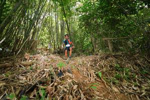 BIB: 
                            <button type="button" onclick="openModal(21789006)" class="btn btn-primary btn-sm float-right btn-popup" data-toggle="modal" data-target=".modal-high-quality">
                        <i class="fas fa-shopping-cart"></i> Add to Cart
                    </button>
                                            <button type="button" onclick="isThisMe(21789006, true)" class="btn btn-success btn-sm float-right btn-popup btn-isme hidden" data-toggle="tooltip" data-placement="bottom" title="นี่คือรูปของคุณใช่ไหม คลิกที่นี่เพื่อเอาเข้าอัลบั้ม">
                        <i class="fas fa-plus"></i> Add to album
                    </button>
                    <button type="button" onclick="isThisMe(21789006, false)" class="btn btn-warning btn-sm float-right btn-popup btn-isnotme hidden">
                        <i class="fas fa-ban"></i> Remove from album
                    </button>