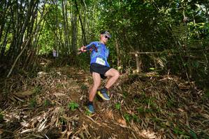 BIB: 2015
                            <button type="button" onclick="openModal(21745652)" class="btn btn-primary btn-sm float-right btn-popup" data-toggle="modal" data-target=".modal-high-quality">
                        <i class="fas fa-shopping-cart"></i> Add to Cart
                    </button>
                                            <button type="button" onclick="isThisMe(21745652, true)" class="btn btn-success btn-sm float-right btn-popup btn-isme hidden" data-toggle="tooltip" data-placement="bottom" title="นี่คือรูปของคุณใช่ไหม คลิกที่นี่เพื่อเอาเข้าอัลบั้ม">
                        <i class="fas fa-plus"></i> Add to album
                    </button>
                    <button type="button" onclick="isThisMe(21745652, false)" class="btn btn-warning btn-sm float-right btn-popup btn-isnotme hidden">
                        <i class="fas fa-ban"></i> Remove from album
                    </button>