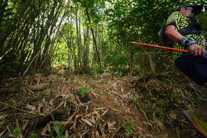 BIB: 
                            <button type="button" onclick="openModal(21769676)" class="btn btn-primary btn-sm float-right btn-popup" data-toggle="modal" data-target=".modal-high-quality">
                        <i class="fas fa-shopping-cart"></i> Add to Cart
                    </button>
                                            <button type="button" onclick="isThisMe(21769676, true)" class="btn btn-success btn-sm float-right btn-popup btn-isme hidden" data-toggle="tooltip" data-placement="bottom" title="นี่คือรูปของคุณใช่ไหม คลิกที่นี่เพื่อเอาเข้าอัลบั้ม">
                        <i class="fas fa-plus"></i> Add to album
                    </button>
                    <button type="button" onclick="isThisMe(21769676, false)" class="btn btn-warning btn-sm float-right btn-popup btn-isnotme hidden">
                        <i class="fas fa-ban"></i> Remove from album
                    </button>