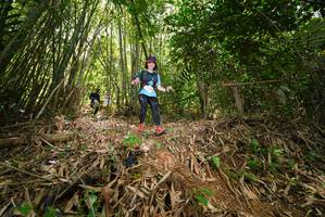 BIB: 
                            <button type="button" onclick="openModal(21787162)" class="btn btn-primary btn-sm float-right btn-popup" data-toggle="modal" data-target=".modal-high-quality">
                        <i class="fas fa-shopping-cart"></i> Add to Cart
                    </button>
                                            <button type="button" onclick="isThisMe(21787162, true)" class="btn btn-success btn-sm float-right btn-popup btn-isme hidden" data-toggle="tooltip" data-placement="bottom" title="นี่คือรูปของคุณใช่ไหม คลิกที่นี่เพื่อเอาเข้าอัลบั้ม">
                        <i class="fas fa-plus"></i> Add to album
                    </button>
                    <button type="button" onclick="isThisMe(21787162, false)" class="btn btn-warning btn-sm float-right btn-popup btn-isnotme hidden">
                        <i class="fas fa-ban"></i> Remove from album
                    </button>