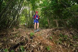 BIB: 
                            <button type="button" onclick="openModal(21778910)" class="btn btn-primary btn-sm float-right btn-popup" data-toggle="modal" data-target=".modal-high-quality">
                        <i class="fas fa-shopping-cart"></i> Add to Cart
                    </button>
                                            <button type="button" onclick="isThisMe(21778910, true)" class="btn btn-success btn-sm float-right btn-popup btn-isme hidden" data-toggle="tooltip" data-placement="bottom" title="นี่คือรูปของคุณใช่ไหม คลิกที่นี่เพื่อเอาเข้าอัลบั้ม">
                        <i class="fas fa-plus"></i> Add to album
                    </button>
                    <button type="button" onclick="isThisMe(21778910, false)" class="btn btn-warning btn-sm float-right btn-popup btn-isnotme hidden">
                        <i class="fas fa-ban"></i> Remove from album
                    </button>