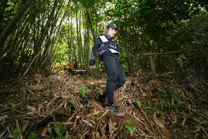 BIB: 
                            <button type="button" onclick="openModal(21785528)" class="btn btn-primary btn-sm float-right btn-popup" data-toggle="modal" data-target=".modal-high-quality">
                        <i class="fas fa-shopping-cart"></i> Add to Cart
                    </button>
                                            <button type="button" onclick="isThisMe(21785528, true)" class="btn btn-success btn-sm float-right btn-popup btn-isme hidden" data-toggle="tooltip" data-placement="bottom" title="นี่คือรูปของคุณใช่ไหม คลิกที่นี่เพื่อเอาเข้าอัลบั้ม">
                        <i class="fas fa-plus"></i> Add to album
                    </button>
                    <button type="button" onclick="isThisMe(21785528, false)" class="btn btn-warning btn-sm float-right btn-popup btn-isnotme hidden">
                        <i class="fas fa-ban"></i> Remove from album
                    </button>