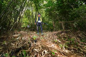 BIB: 
                            <button type="button" onclick="openModal(21750618)" class="btn btn-primary btn-sm float-right btn-popup" data-toggle="modal" data-target=".modal-high-quality">
                        <i class="fas fa-shopping-cart"></i> Add to Cart
                    </button>
                                            <button type="button" onclick="isThisMe(21750618, true)" class="btn btn-success btn-sm float-right btn-popup btn-isme hidden" data-toggle="tooltip" data-placement="bottom" title="นี่คือรูปของคุณใช่ไหม คลิกที่นี่เพื่อเอาเข้าอัลบั้ม">
                        <i class="fas fa-plus"></i> Add to album
                    </button>
                    <button type="button" onclick="isThisMe(21750618, false)" class="btn btn-warning btn-sm float-right btn-popup btn-isnotme hidden">
                        <i class="fas fa-ban"></i> Remove from album
                    </button>