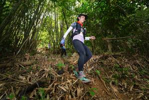 BIB: 
                            <button type="button" onclick="openModal(21777763)" class="btn btn-primary btn-sm float-right btn-popup" data-toggle="modal" data-target=".modal-high-quality">
                        <i class="fas fa-shopping-cart"></i> Add to Cart
                    </button>
                                            <button type="button" onclick="isThisMe(21777763, true)" class="btn btn-success btn-sm float-right btn-popup btn-isme hidden" data-toggle="tooltip" data-placement="bottom" title="นี่คือรูปของคุณใช่ไหม คลิกที่นี่เพื่อเอาเข้าอัลบั้ม">
                        <i class="fas fa-plus"></i> Add to album
                    </button>
                    <button type="button" onclick="isThisMe(21777763, false)" class="btn btn-warning btn-sm float-right btn-popup btn-isnotme hidden">
                        <i class="fas fa-ban"></i> Remove from album
                    </button>