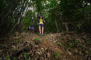 BIB: 
                            <button type="button" onclick="openModal(21782419)" class="btn btn-primary btn-sm float-right btn-popup" data-toggle="modal" data-target=".modal-high-quality">
                        <i class="fas fa-shopping-cart"></i> Add to Cart
                    </button>
                                            <button type="button" onclick="isThisMe(21782419, true)" class="btn btn-success btn-sm float-right btn-popup btn-isme hidden" data-toggle="tooltip" data-placement="bottom" title="นี่คือรูปของคุณใช่ไหม คลิกที่นี่เพื่อเอาเข้าอัลบั้ม">
                        <i class="fas fa-plus"></i> Add to album
                    </button>
                    <button type="button" onclick="isThisMe(21782419, false)" class="btn btn-warning btn-sm float-right btn-popup btn-isnotme hidden">
                        <i class="fas fa-ban"></i> Remove from album
                    </button>