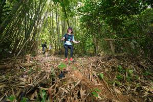 BIB: 
                            <button type="button" onclick="openModal(21787131)" class="btn btn-primary btn-sm float-right btn-popup" data-toggle="modal" data-target=".modal-high-quality">
                        <i class="fas fa-shopping-cart"></i> Add to Cart
                    </button>
                                            <button type="button" onclick="isThisMe(21787131, true)" class="btn btn-success btn-sm float-right btn-popup btn-isme hidden" data-toggle="tooltip" data-placement="bottom" title="นี่คือรูปของคุณใช่ไหม คลิกที่นี่เพื่อเอาเข้าอัลบั้ม">
                        <i class="fas fa-plus"></i> Add to album
                    </button>
                    <button type="button" onclick="isThisMe(21787131, false)" class="btn btn-warning btn-sm float-right btn-popup btn-isnotme hidden">
                        <i class="fas fa-ban"></i> Remove from album
                    </button>