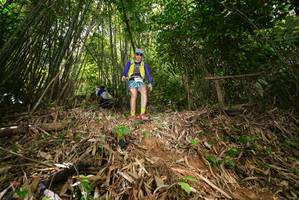 BIB: 
                            <button type="button" onclick="openModal(21752379)" class="btn btn-primary btn-sm float-right btn-popup" data-toggle="modal" data-target=".modal-high-quality">
                        <i class="fas fa-shopping-cart"></i> Add to Cart
                    </button>
                                            <button type="button" onclick="isThisMe(21752379, true)" class="btn btn-success btn-sm float-right btn-popup btn-isme hidden" data-toggle="tooltip" data-placement="bottom" title="นี่คือรูปของคุณใช่ไหม คลิกที่นี่เพื่อเอาเข้าอัลบั้ม">
                        <i class="fas fa-plus"></i> Add to album
                    </button>
                    <button type="button" onclick="isThisMe(21752379, false)" class="btn btn-warning btn-sm float-right btn-popup btn-isnotme hidden">
                        <i class="fas fa-ban"></i> Remove from album
                    </button>