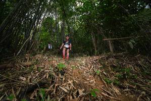 BIB: 
                            <button type="button" onclick="openModal(21751589)" class="btn btn-primary btn-sm float-right btn-popup" data-toggle="modal" data-target=".modal-high-quality">
                        <i class="fas fa-shopping-cart"></i> Add to Cart
                    </button>
                                            <button type="button" onclick="isThisMe(21751589, true)" class="btn btn-success btn-sm float-right btn-popup btn-isme hidden" data-toggle="tooltip" data-placement="bottom" title="นี่คือรูปของคุณใช่ไหม คลิกที่นี่เพื่อเอาเข้าอัลบั้ม">
                        <i class="fas fa-plus"></i> Add to album
                    </button>
                    <button type="button" onclick="isThisMe(21751589, false)" class="btn btn-warning btn-sm float-right btn-popup btn-isnotme hidden">
                        <i class="fas fa-ban"></i> Remove from album
                    </button>