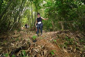 BIB: 
                            <button type="button" onclick="openModal(21776700)" class="btn btn-primary btn-sm float-right btn-popup" data-toggle="modal" data-target=".modal-high-quality">
                        <i class="fas fa-shopping-cart"></i> Add to Cart
                    </button>
                                            <button type="button" onclick="isThisMe(21776700, true)" class="btn btn-success btn-sm float-right btn-popup btn-isme hidden" data-toggle="tooltip" data-placement="bottom" title="นี่คือรูปของคุณใช่ไหม คลิกที่นี่เพื่อเอาเข้าอัลบั้ม">
                        <i class="fas fa-plus"></i> Add to album
                    </button>
                    <button type="button" onclick="isThisMe(21776700, false)" class="btn btn-warning btn-sm float-right btn-popup btn-isnotme hidden">
                        <i class="fas fa-ban"></i> Remove from album
                    </button>