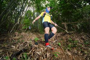 BIB: 
                            <button type="button" onclick="openModal(21782830)" class="btn btn-primary btn-sm float-right btn-popup" data-toggle="modal" data-target=".modal-high-quality">
                        <i class="fas fa-shopping-cart"></i> Add to Cart
                    </button>
                                            <button type="button" onclick="isThisMe(21782830, true)" class="btn btn-success btn-sm float-right btn-popup btn-isme hidden" data-toggle="tooltip" data-placement="bottom" title="นี่คือรูปของคุณใช่ไหม คลิกที่นี่เพื่อเอาเข้าอัลบั้ม">
                        <i class="fas fa-plus"></i> Add to album
                    </button>
                    <button type="button" onclick="isThisMe(21782830, false)" class="btn btn-warning btn-sm float-right btn-popup btn-isnotme hidden">
                        <i class="fas fa-ban"></i> Remove from album
                    </button>