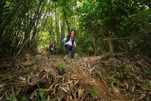 BIB: 
                            <button type="button" onclick="openModal(21777681)" class="btn btn-primary btn-sm float-right btn-popup" data-toggle="modal" data-target=".modal-high-quality">
                        <i class="fas fa-shopping-cart"></i> Add to Cart
                    </button>
                                            <button type="button" onclick="isThisMe(21777681, true)" class="btn btn-success btn-sm float-right btn-popup btn-isme hidden" data-toggle="tooltip" data-placement="bottom" title="นี่คือรูปของคุณใช่ไหม คลิกที่นี่เพื่อเอาเข้าอัลบั้ม">
                        <i class="fas fa-plus"></i> Add to album
                    </button>
                    <button type="button" onclick="isThisMe(21777681, false)" class="btn btn-warning btn-sm float-right btn-popup btn-isnotme hidden">
                        <i class="fas fa-ban"></i> Remove from album
                    </button>