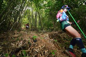 BIB: 
                            <button type="button" onclick="openModal(21770410)" class="btn btn-primary btn-sm float-right btn-popup" data-toggle="modal" data-target=".modal-high-quality">
                        <i class="fas fa-shopping-cart"></i> Add to Cart
                    </button>
                                            <button type="button" onclick="isThisMe(21770410, true)" class="btn btn-success btn-sm float-right btn-popup btn-isme hidden" data-toggle="tooltip" data-placement="bottom" title="นี่คือรูปของคุณใช่ไหม คลิกที่นี่เพื่อเอาเข้าอัลบั้ม">
                        <i class="fas fa-plus"></i> Add to album
                    </button>
                    <button type="button" onclick="isThisMe(21770410, false)" class="btn btn-warning btn-sm float-right btn-popup btn-isnotme hidden">
                        <i class="fas fa-ban"></i> Remove from album
                    </button>