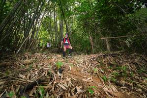 BIB: 
                            <button type="button" onclick="openModal(21751085)" class="btn btn-primary btn-sm float-right btn-popup" data-toggle="modal" data-target=".modal-high-quality">
                        <i class="fas fa-shopping-cart"></i> Add to Cart
                    </button>
                                            <button type="button" onclick="isThisMe(21751085, true)" class="btn btn-success btn-sm float-right btn-popup btn-isme hidden" data-toggle="tooltip" data-placement="bottom" title="นี่คือรูปของคุณใช่ไหม คลิกที่นี่เพื่อเอาเข้าอัลบั้ม">
                        <i class="fas fa-plus"></i> Add to album
                    </button>
                    <button type="button" onclick="isThisMe(21751085, false)" class="btn btn-warning btn-sm float-right btn-popup btn-isnotme hidden">
                        <i class="fas fa-ban"></i> Remove from album
                    </button>