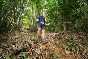 BIB: 
                            <button type="button" onclick="openModal(21777322)" class="btn btn-primary btn-sm float-right btn-popup" data-toggle="modal" data-target=".modal-high-quality">
                        <i class="fas fa-shopping-cart"></i> Add to Cart
                    </button>
                                            <button type="button" onclick="isThisMe(21777322, true)" class="btn btn-success btn-sm float-right btn-popup btn-isme hidden" data-toggle="tooltip" data-placement="bottom" title="นี่คือรูปของคุณใช่ไหม คลิกที่นี่เพื่อเอาเข้าอัลบั้ม">
                        <i class="fas fa-plus"></i> Add to album
                    </button>
                    <button type="button" onclick="isThisMe(21777322, false)" class="btn btn-warning btn-sm float-right btn-popup btn-isnotme hidden">
                        <i class="fas fa-ban"></i> Remove from album
                    </button>