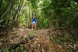 BIB: 
                            <button type="button" onclick="openModal(21789093)" class="btn btn-primary btn-sm float-right btn-popup" data-toggle="modal" data-target=".modal-high-quality">
                        <i class="fas fa-shopping-cart"></i> Add to Cart
                    </button>
                                            <button type="button" onclick="isThisMe(21789093, true)" class="btn btn-success btn-sm float-right btn-popup btn-isme hidden" data-toggle="tooltip" data-placement="bottom" title="นี่คือรูปของคุณใช่ไหม คลิกที่นี่เพื่อเอาเข้าอัลบั้ม">
                        <i class="fas fa-plus"></i> Add to album
                    </button>
                    <button type="button" onclick="isThisMe(21789093, false)" class="btn btn-warning btn-sm float-right btn-popup btn-isnotme hidden">
                        <i class="fas fa-ban"></i> Remove from album
                    </button>