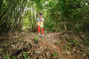 BIB: 
                            <button type="button" onclick="openModal(21770900)" class="btn btn-primary btn-sm float-right btn-popup" data-toggle="modal" data-target=".modal-high-quality">
                        <i class="fas fa-shopping-cart"></i> Add to Cart
                    </button>
                                            <button type="button" onclick="isThisMe(21770900, true)" class="btn btn-success btn-sm float-right btn-popup btn-isme hidden" data-toggle="tooltip" data-placement="bottom" title="นี่คือรูปของคุณใช่ไหม คลิกที่นี่เพื่อเอาเข้าอัลบั้ม">
                        <i class="fas fa-plus"></i> Add to album
                    </button>
                    <button type="button" onclick="isThisMe(21770900, false)" class="btn btn-warning btn-sm float-right btn-popup btn-isnotme hidden">
                        <i class="fas fa-ban"></i> Remove from album
                    </button>