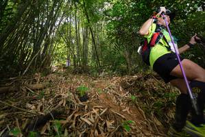 BIB: 
                            <button type="button" onclick="openModal(21773179)" class="btn btn-primary btn-sm float-right btn-popup" data-toggle="modal" data-target=".modal-high-quality">
                        <i class="fas fa-shopping-cart"></i> Add to Cart
                    </button>
                                            <button type="button" onclick="isThisMe(21773179, true)" class="btn btn-success btn-sm float-right btn-popup btn-isme hidden" data-toggle="tooltip" data-placement="bottom" title="นี่คือรูปของคุณใช่ไหม คลิกที่นี่เพื่อเอาเข้าอัลบั้ม">
                        <i class="fas fa-plus"></i> Add to album
                    </button>
                    <button type="button" onclick="isThisMe(21773179, false)" class="btn btn-warning btn-sm float-right btn-popup btn-isnotme hidden">
                        <i class="fas fa-ban"></i> Remove from album
                    </button>