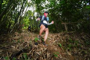 BIB: 
                            <button type="button" onclick="openModal(21785013)" class="btn btn-primary btn-sm float-right btn-popup" data-toggle="modal" data-target=".modal-high-quality">
                        <i class="fas fa-shopping-cart"></i> Add to Cart
                    </button>
                                            <button type="button" onclick="isThisMe(21785013, true)" class="btn btn-success btn-sm float-right btn-popup btn-isme hidden" data-toggle="tooltip" data-placement="bottom" title="นี่คือรูปของคุณใช่ไหม คลิกที่นี่เพื่อเอาเข้าอัลบั้ม">
                        <i class="fas fa-plus"></i> Add to album
                    </button>
                    <button type="button" onclick="isThisMe(21785013, false)" class="btn btn-warning btn-sm float-right btn-popup btn-isnotme hidden">
                        <i class="fas fa-ban"></i> Remove from album
                    </button>