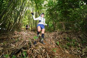 BIB: 
                            <button type="button" onclick="openModal(21788954)" class="btn btn-primary btn-sm float-right btn-popup" data-toggle="modal" data-target=".modal-high-quality">
                        <i class="fas fa-shopping-cart"></i> Add to Cart
                    </button>
                                            <button type="button" onclick="isThisMe(21788954, true)" class="btn btn-success btn-sm float-right btn-popup btn-isme hidden" data-toggle="tooltip" data-placement="bottom" title="นี่คือรูปของคุณใช่ไหม คลิกที่นี่เพื่อเอาเข้าอัลบั้ม">
                        <i class="fas fa-plus"></i> Add to album
                    </button>
                    <button type="button" onclick="isThisMe(21788954, false)" class="btn btn-warning btn-sm float-right btn-popup btn-isnotme hidden">
                        <i class="fas fa-ban"></i> Remove from album
                    </button>