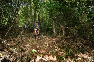 BIB: 
                            <button type="button" onclick="openModal(21745140)" class="btn btn-primary btn-sm float-right btn-popup" data-toggle="modal" data-target=".modal-high-quality">
                        <i class="fas fa-shopping-cart"></i> Add to Cart
                    </button>
                                            <button type="button" onclick="isThisMe(21745140, true)" class="btn btn-success btn-sm float-right btn-popup btn-isme hidden" data-toggle="tooltip" data-placement="bottom" title="นี่คือรูปของคุณใช่ไหม คลิกที่นี่เพื่อเอาเข้าอัลบั้ม">
                        <i class="fas fa-plus"></i> Add to album
                    </button>
                    <button type="button" onclick="isThisMe(21745140, false)" class="btn btn-warning btn-sm float-right btn-popup btn-isnotme hidden">
                        <i class="fas fa-ban"></i> Remove from album
                    </button>