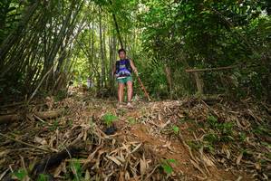 BIB: 
                            <button type="button" onclick="openModal(21777381)" class="btn btn-primary btn-sm float-right btn-popup" data-toggle="modal" data-target=".modal-high-quality">
                        <i class="fas fa-shopping-cart"></i> Add to Cart
                    </button>
                                            <button type="button" onclick="isThisMe(21777381, true)" class="btn btn-success btn-sm float-right btn-popup btn-isme hidden" data-toggle="tooltip" data-placement="bottom" title="นี่คือรูปของคุณใช่ไหม คลิกที่นี่เพื่อเอาเข้าอัลบั้ม">
                        <i class="fas fa-plus"></i> Add to album
                    </button>
                    <button type="button" onclick="isThisMe(21777381, false)" class="btn btn-warning btn-sm float-right btn-popup btn-isnotme hidden">
                        <i class="fas fa-ban"></i> Remove from album
                    </button>