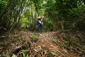 BIB: 
                            <button type="button" onclick="openModal(21752265)" class="btn btn-primary btn-sm float-right btn-popup" data-toggle="modal" data-target=".modal-high-quality">
                        <i class="fas fa-shopping-cart"></i> Add to Cart
                    </button>
                                            <button type="button" onclick="isThisMe(21752265, true)" class="btn btn-success btn-sm float-right btn-popup btn-isme hidden" data-toggle="tooltip" data-placement="bottom" title="นี่คือรูปของคุณใช่ไหม คลิกที่นี่เพื่อเอาเข้าอัลบั้ม">
                        <i class="fas fa-plus"></i> Add to album
                    </button>
                    <button type="button" onclick="isThisMe(21752265, false)" class="btn btn-warning btn-sm float-right btn-popup btn-isnotme hidden">
                        <i class="fas fa-ban"></i> Remove from album
                    </button>