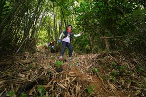 BIB: 
                            <button type="button" onclick="openModal(21777705)" class="btn btn-primary btn-sm float-right btn-popup" data-toggle="modal" data-target=".modal-high-quality">
                        <i class="fas fa-shopping-cart"></i> Add to Cart
                    </button>
                                            <button type="button" onclick="isThisMe(21777705, true)" class="btn btn-success btn-sm float-right btn-popup btn-isme hidden" data-toggle="tooltip" data-placement="bottom" title="นี่คือรูปของคุณใช่ไหม คลิกที่นี่เพื่อเอาเข้าอัลบั้ม">
                        <i class="fas fa-plus"></i> Add to album
                    </button>
                    <button type="button" onclick="isThisMe(21777705, false)" class="btn btn-warning btn-sm float-right btn-popup btn-isnotme hidden">
                        <i class="fas fa-ban"></i> Remove from album
                    </button>