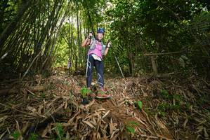 BIB: 
                            <button type="button" onclick="openModal(21785404)" class="btn btn-primary btn-sm float-right btn-popup" data-toggle="modal" data-target=".modal-high-quality">
                        <i class="fas fa-shopping-cart"></i> Add to Cart
                    </button>
                                            <button type="button" onclick="isThisMe(21785404, true)" class="btn btn-success btn-sm float-right btn-popup btn-isme hidden" data-toggle="tooltip" data-placement="bottom" title="นี่คือรูปของคุณใช่ไหม คลิกที่นี่เพื่อเอาเข้าอัลบั้ม">
                        <i class="fas fa-plus"></i> Add to album
                    </button>
                    <button type="button" onclick="isThisMe(21785404, false)" class="btn btn-warning btn-sm float-right btn-popup btn-isnotme hidden">
                        <i class="fas fa-ban"></i> Remove from album
                    </button>