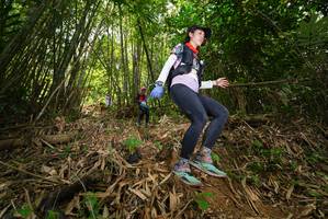 BIB: 
                            <button type="button" onclick="openModal(21777799)" class="btn btn-primary btn-sm float-right btn-popup" data-toggle="modal" data-target=".modal-high-quality">
                        <i class="fas fa-shopping-cart"></i> Add to Cart
                    </button>
                                            <button type="button" onclick="isThisMe(21777799, true)" class="btn btn-success btn-sm float-right btn-popup btn-isme hidden" data-toggle="tooltip" data-placement="bottom" title="นี่คือรูปของคุณใช่ไหม คลิกที่นี่เพื่อเอาเข้าอัลบั้ม">
                        <i class="fas fa-plus"></i> Add to album
                    </button>
                    <button type="button" onclick="isThisMe(21777799, false)" class="btn btn-warning btn-sm float-right btn-popup btn-isnotme hidden">
                        <i class="fas fa-ban"></i> Remove from album
                    </button>