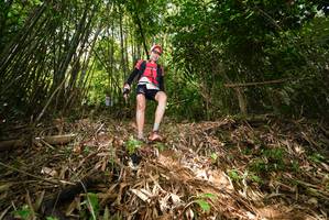 BIB: 
                            <button type="button" onclick="openModal(21750277)" class="btn btn-primary btn-sm float-right btn-popup" data-toggle="modal" data-target=".modal-high-quality">
                        <i class="fas fa-shopping-cart"></i> Add to Cart
                    </button>
                                            <button type="button" onclick="isThisMe(21750277, true)" class="btn btn-success btn-sm float-right btn-popup btn-isme hidden" data-toggle="tooltip" data-placement="bottom" title="นี่คือรูปของคุณใช่ไหม คลิกที่นี่เพื่อเอาเข้าอัลบั้ม">
                        <i class="fas fa-plus"></i> Add to album
                    </button>
                    <button type="button" onclick="isThisMe(21750277, false)" class="btn btn-warning btn-sm float-right btn-popup btn-isnotme hidden">
                        <i class="fas fa-ban"></i> Remove from album
                    </button>